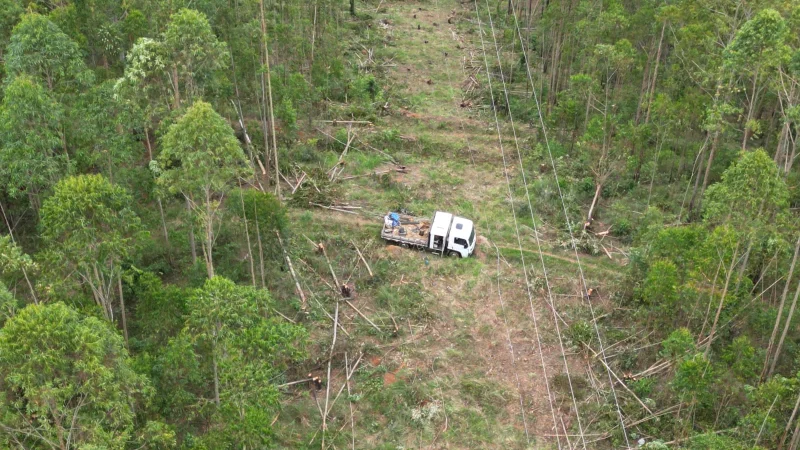 Poda de faixa de servidão em linhas de transmissão e distribuição